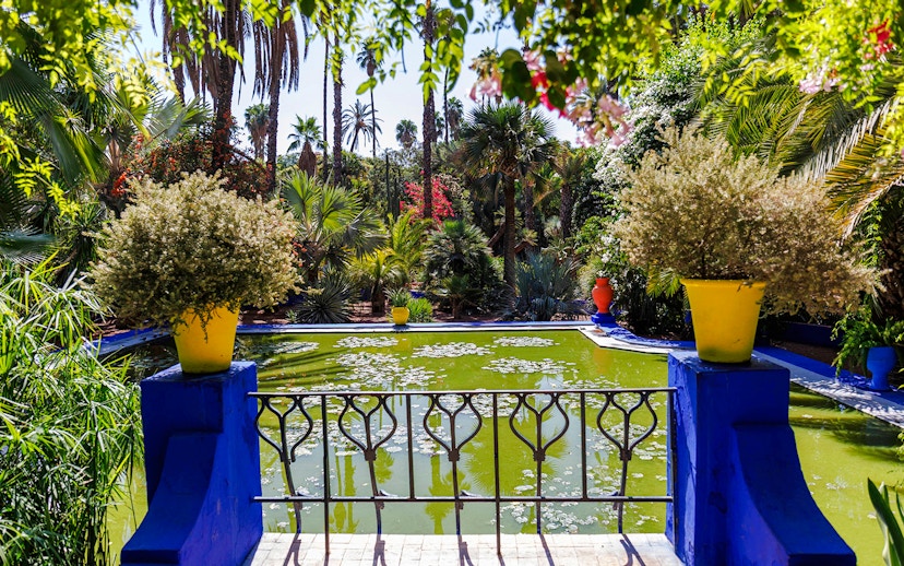 Jardin Majorelle pond surrounded by lush greenery and vibrant potted plants in Marrakech.