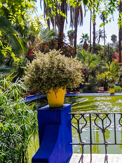 Jardin Majorelle pond surrounded by lush greenery and vibrant potted plants in Marrakech.