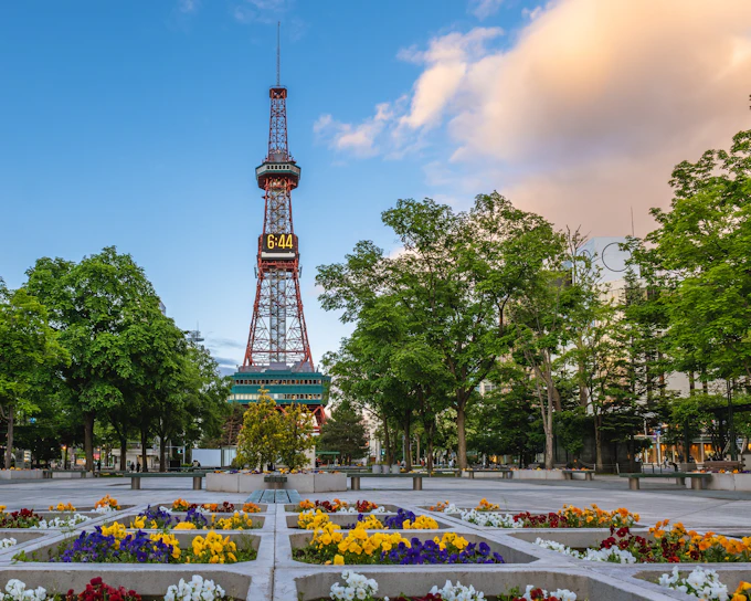 Sapporo TV Tower Ticket