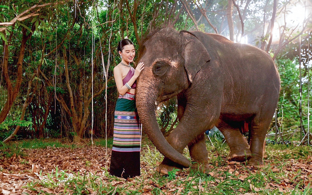 Person interacting with an elephant in a forest at Bangkok Elephant Park.
