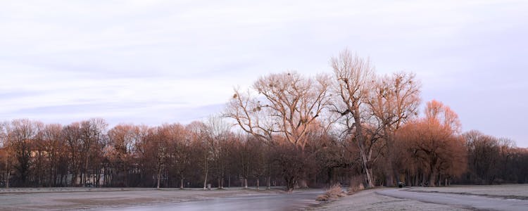 Sachsenhausen Concentration Camp Tours