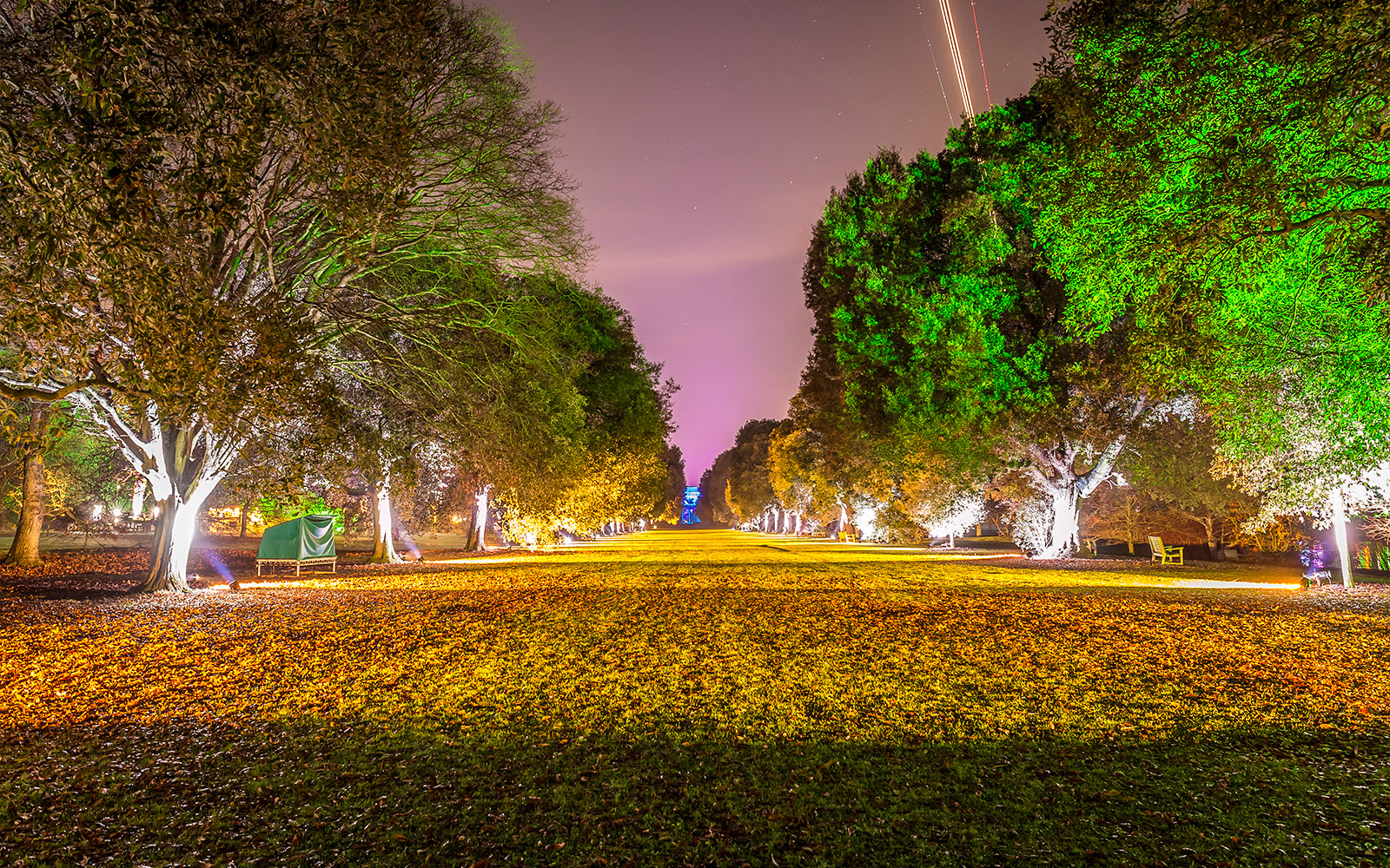 Kew Gardens illuminated with festive Christmas lights in London.