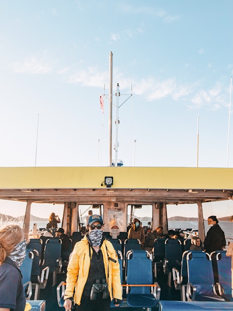 Covered boat with passengers on a half-day whale watching tour, scenic coastal view.