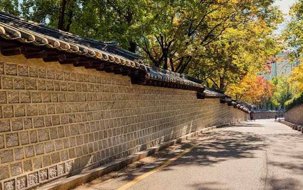 Stone wall along tree-lined path in Seoul during a half-day guided walking tour.