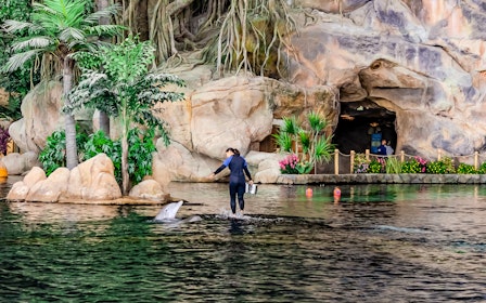 SeaWorld Abu Dhabi Quick Pass