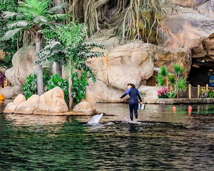SeaWorld Abu Dhabi Quick Pass