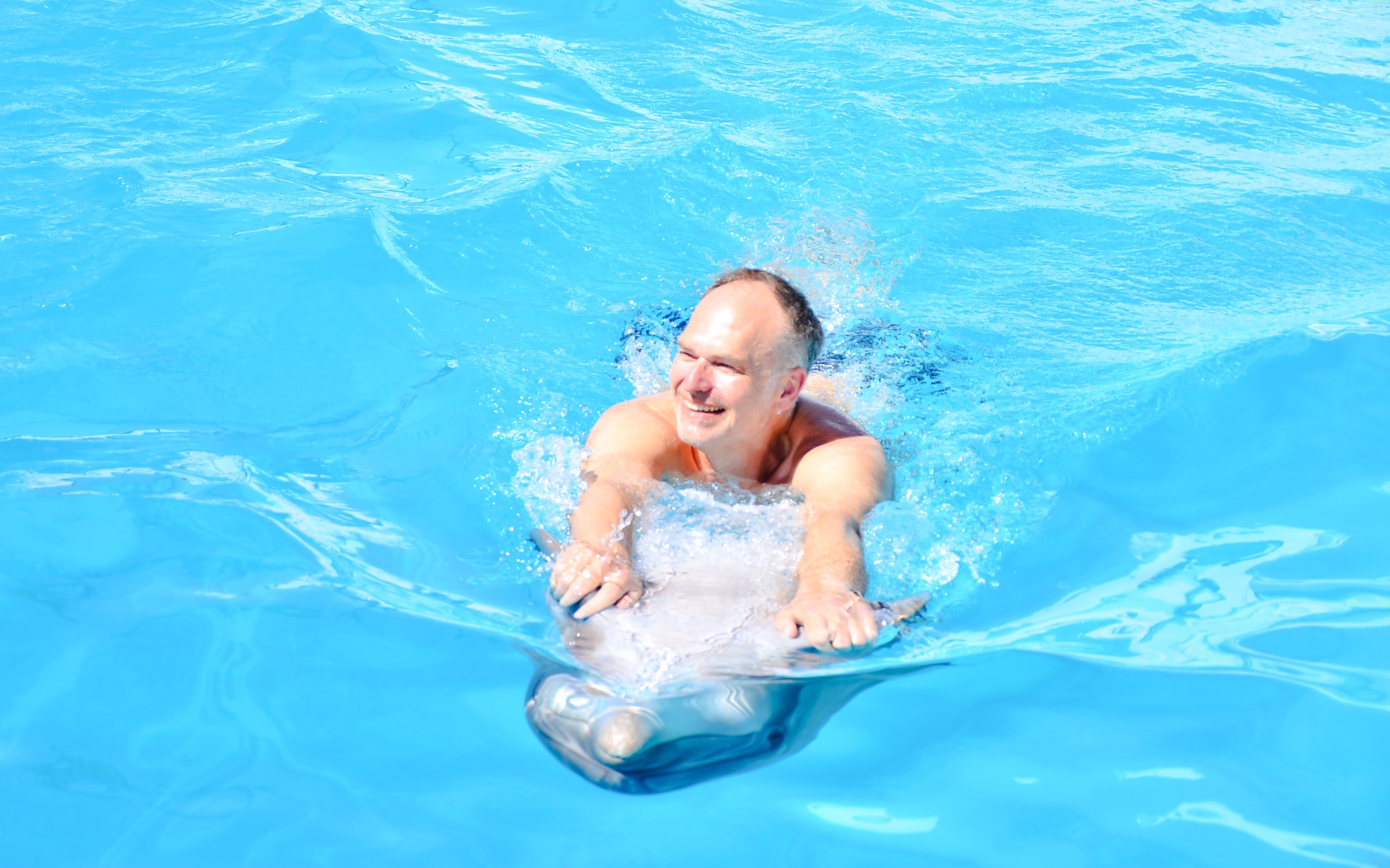 Tourist enjoying a swim with a dolphin during the Private Dolphin Swim Adventure.