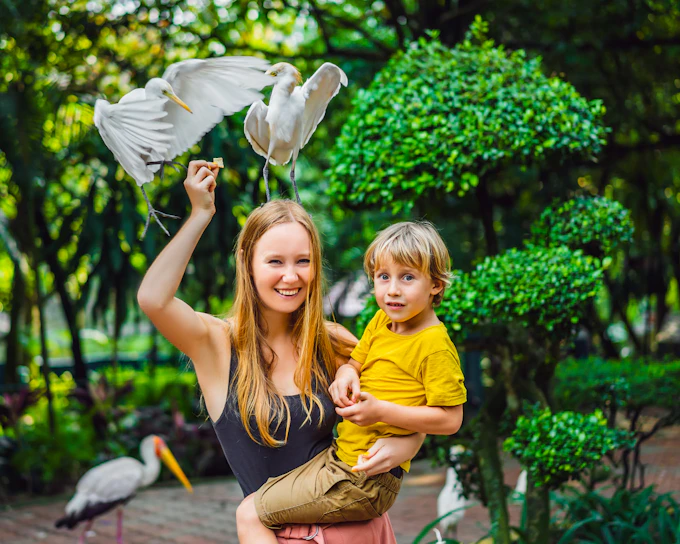 Bali Bird Park Group Saver Tickets: Group of 3 & More