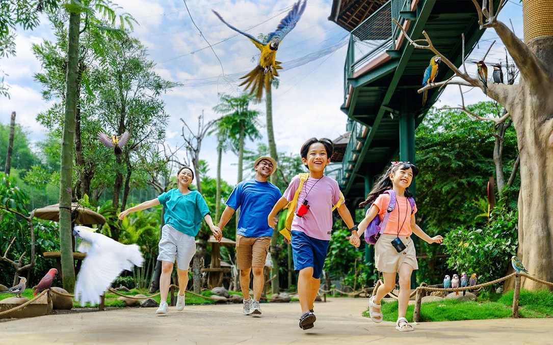 Children enjoying a walk at Jakarta Bird Land with colorful parrots flying above.
