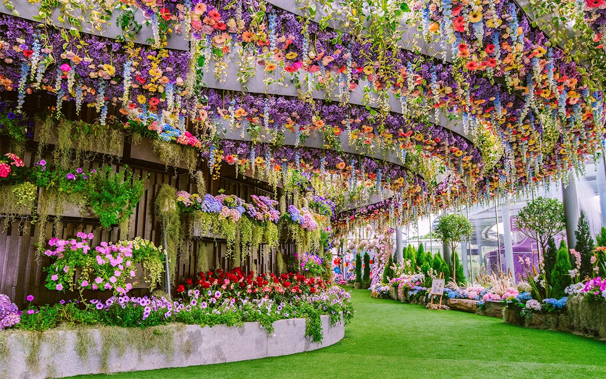 Floral Fantasy Singapore with vibrant hanging gardens and colorful blooms.