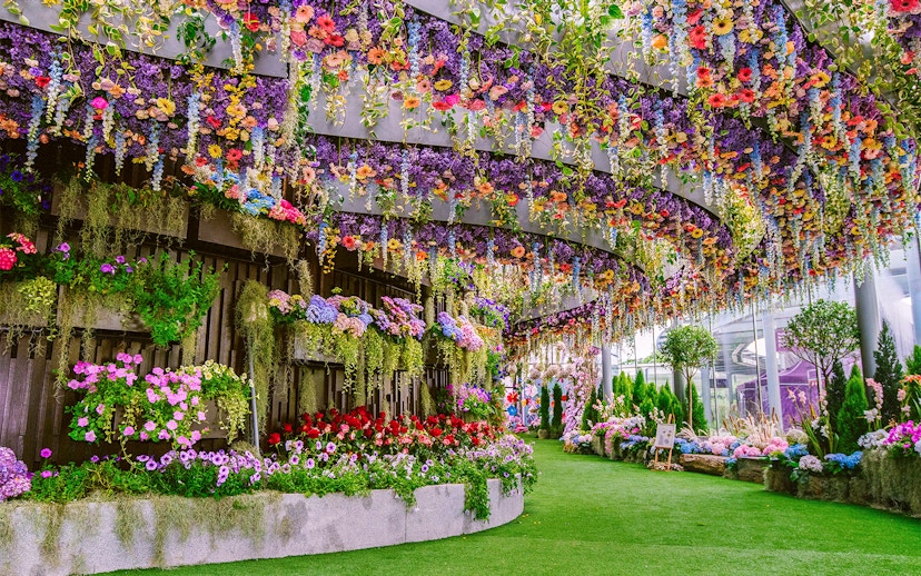 Floral Fantasy Singapore with vibrant hanging gardens and colorful blooms.