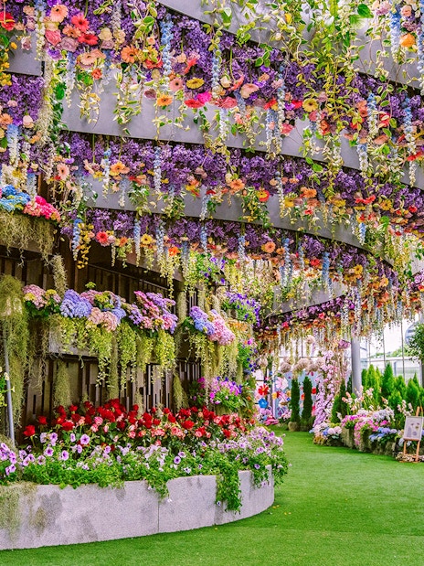 Floral Fantasy Singapore with vibrant hanging gardens and colorful blooms.