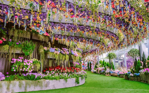Floral Fantasy Singapore with vibrant hanging gardens and colorful blooms.