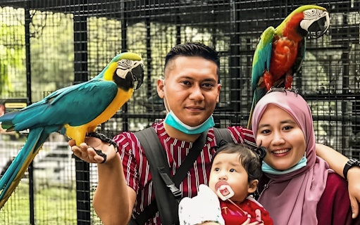 Family with parrots at G2G Animal Garden.