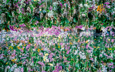 Floral installations with orchids at TeamLab Borderless Tokyo.