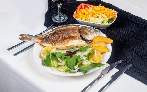 Grilled fish with salad and lemon slices on a Bosphorus dinner cruise.