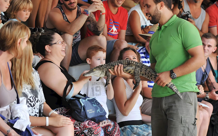 Visitors interacting with a small crocodile at Oasis Wildlife.