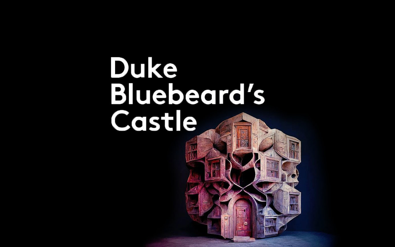 Duke Bluebeard's Castle abstract sculpture with intricate wooden design.