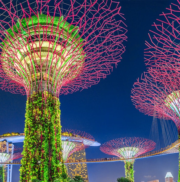 Witness the magical world of Gardens by the Bay in Singapore