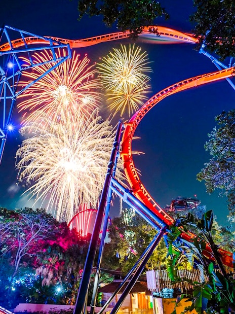 Roller coaster with fireworks at Busch Gardens, Tampa Bay.