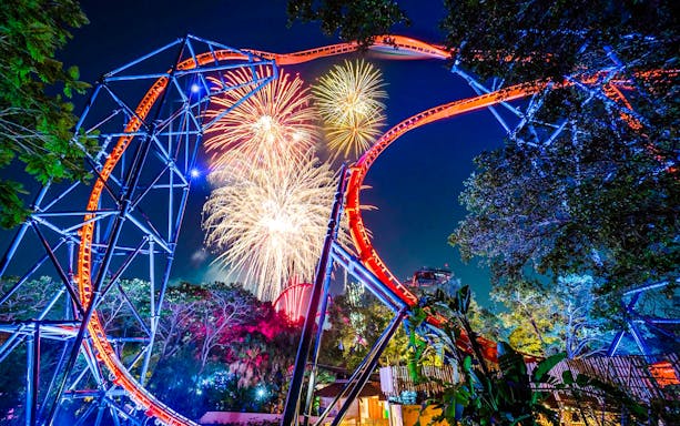Roller coaster with fireworks at Busch Gardens, Tampa Bay.