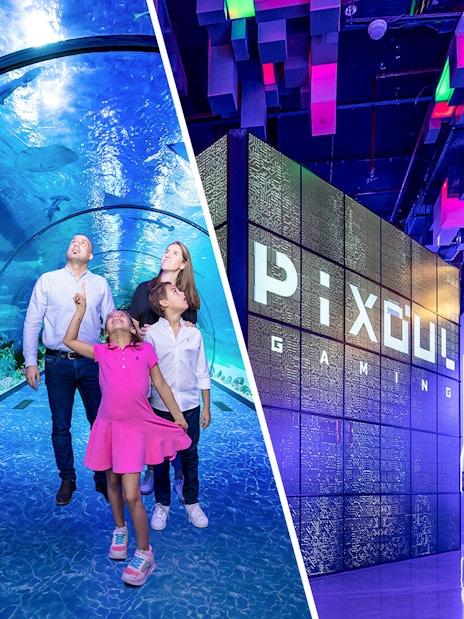 Family exploring underwater tunnel at National Aquarium Abu Dhabi and Pixoul Gaming at Al Qana.
