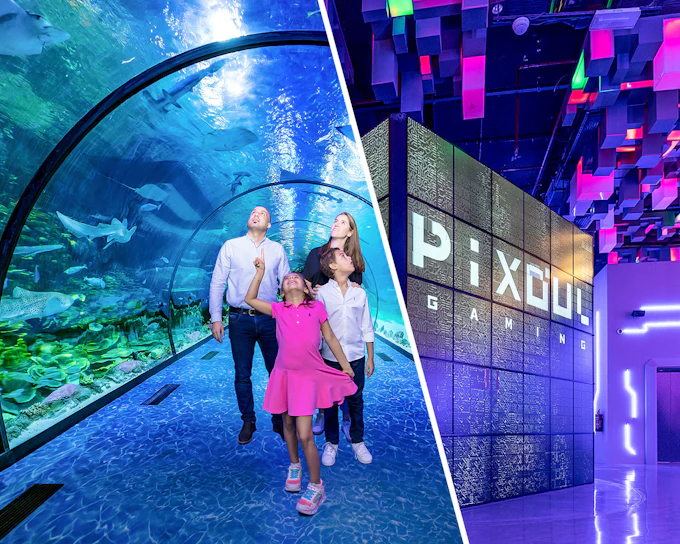 Combo: National Aquarium Abu Dhabi + Al Qana Attractions