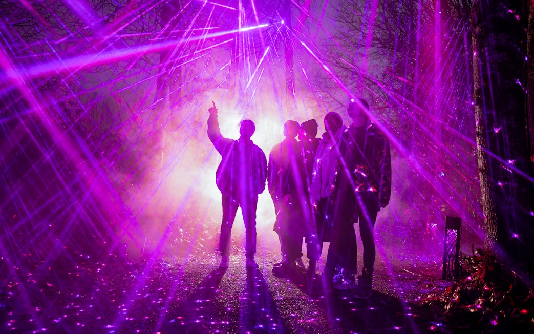 Group under purple stardust rays at Astra Lumina, Currumbin Wildlife Sanctuary.