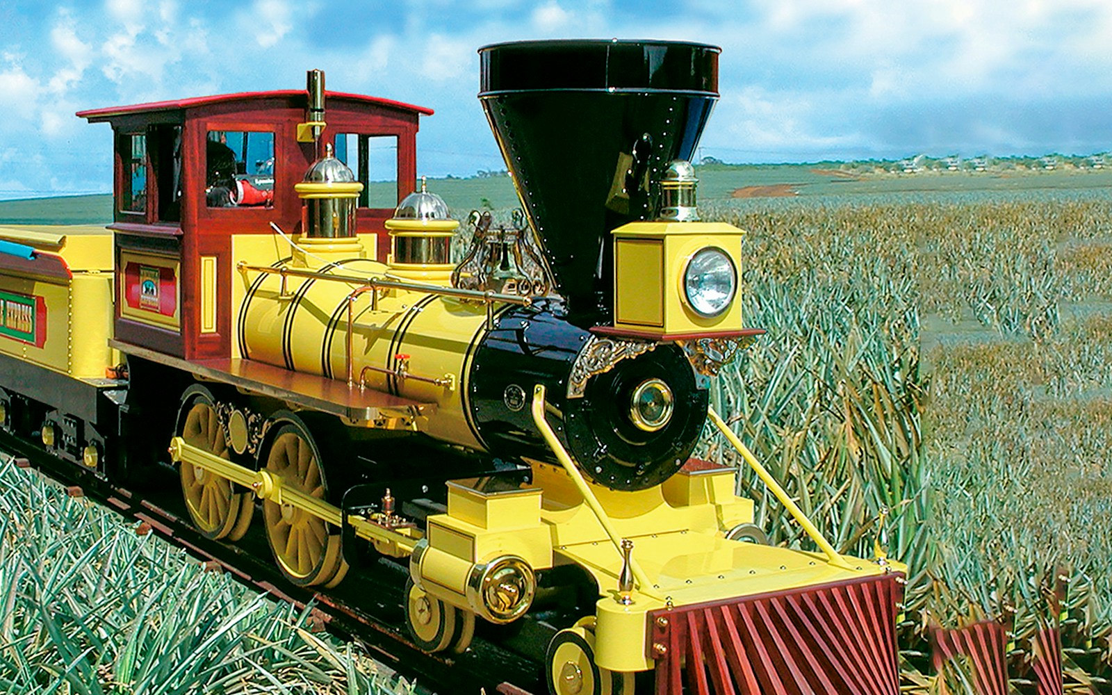 Ride the Pineapple Express