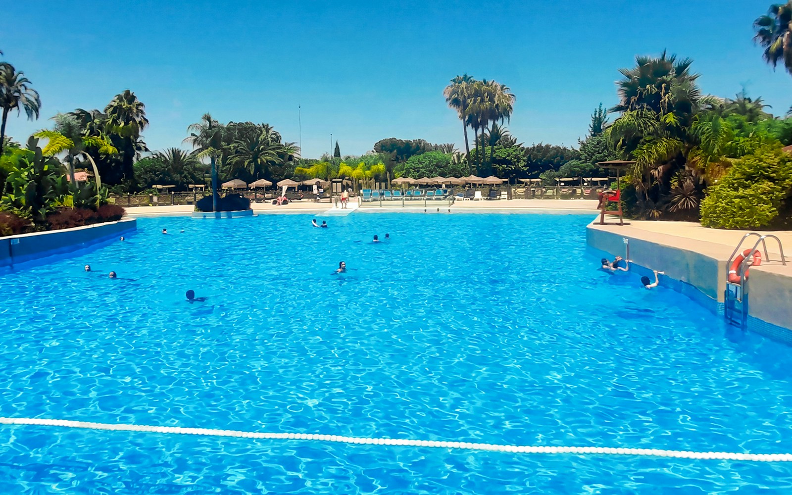 Wave pool with swimmers at Aquopolis Torrevieja surrounded by palm trees.
