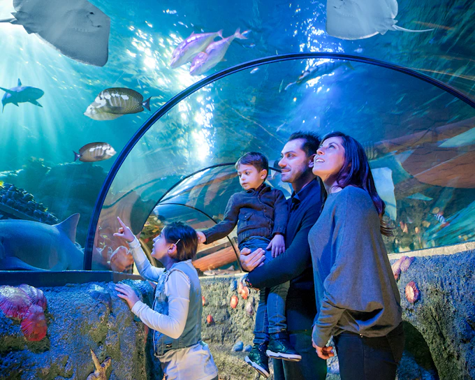 Gardaland Sea Life Aquarium Entry Tickets