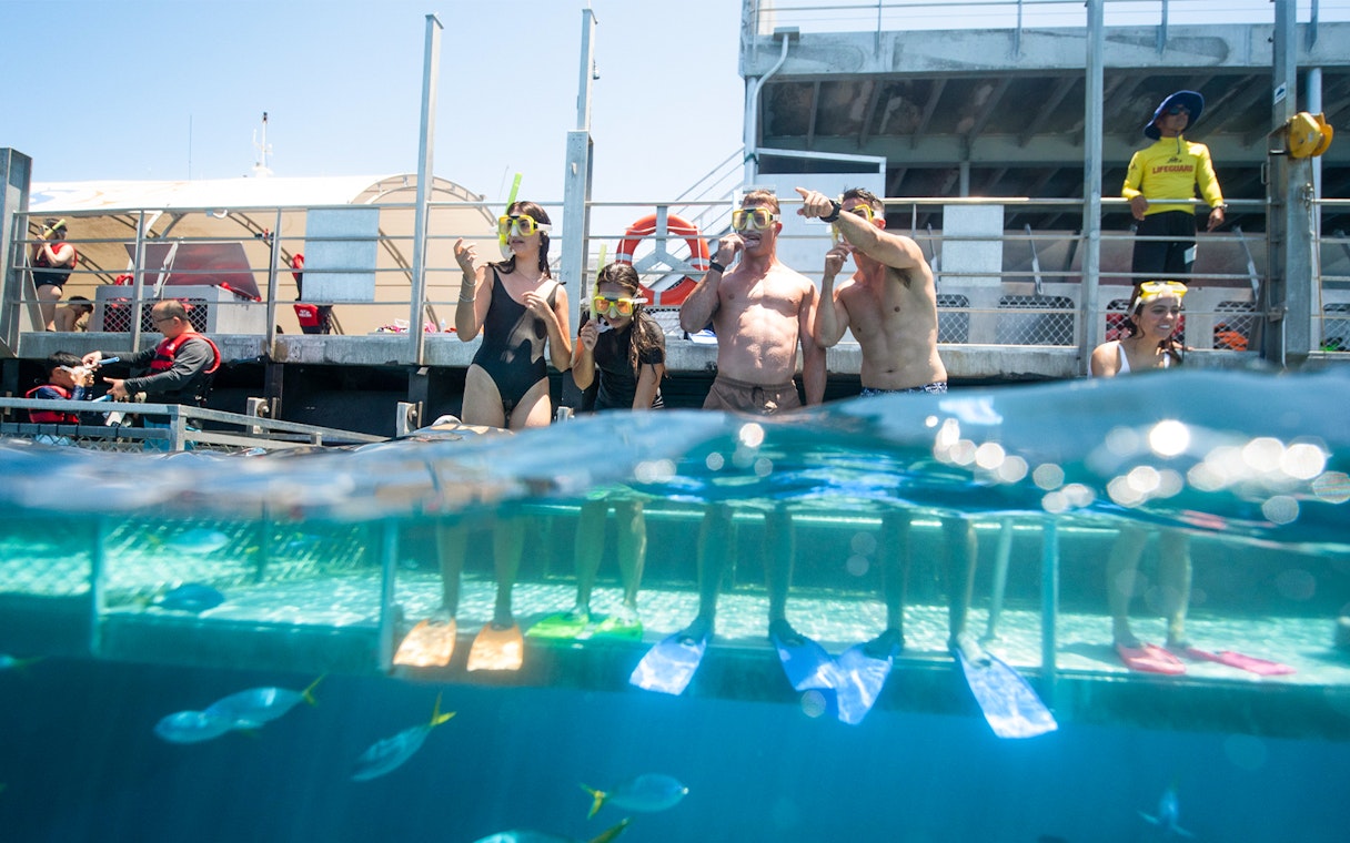Tourists snorkeling at Moore Reef during Great Barrier Reef Day Tour, Australia.