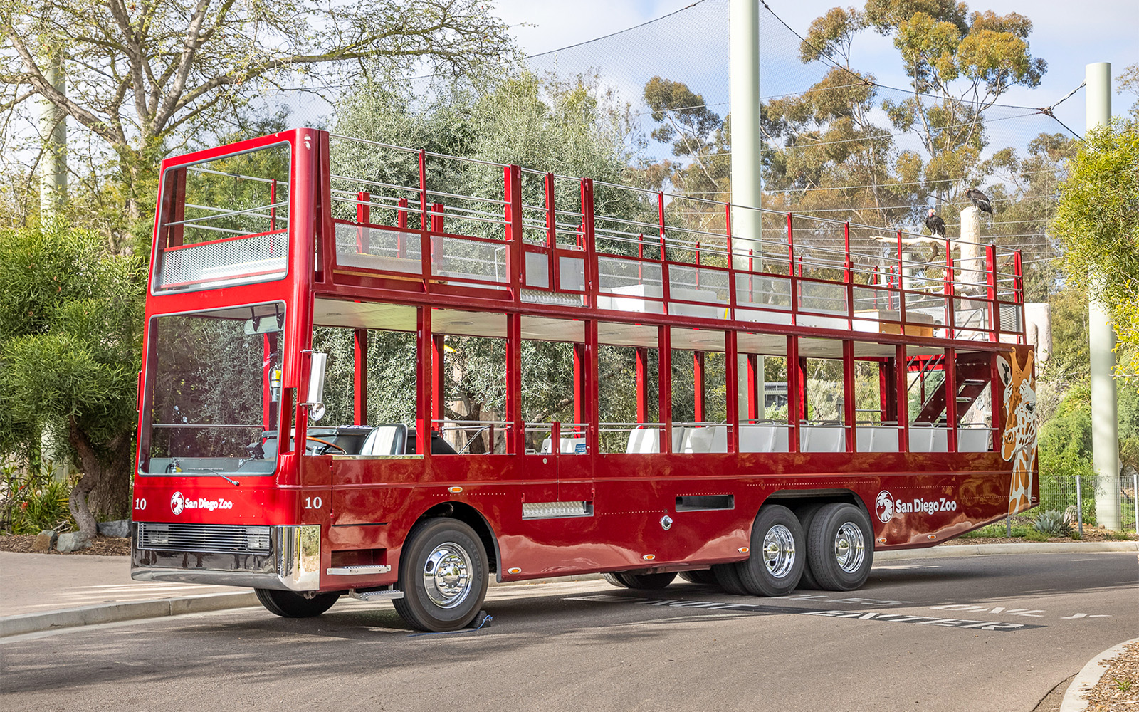 Guided bus tour of the San Diego Zoo