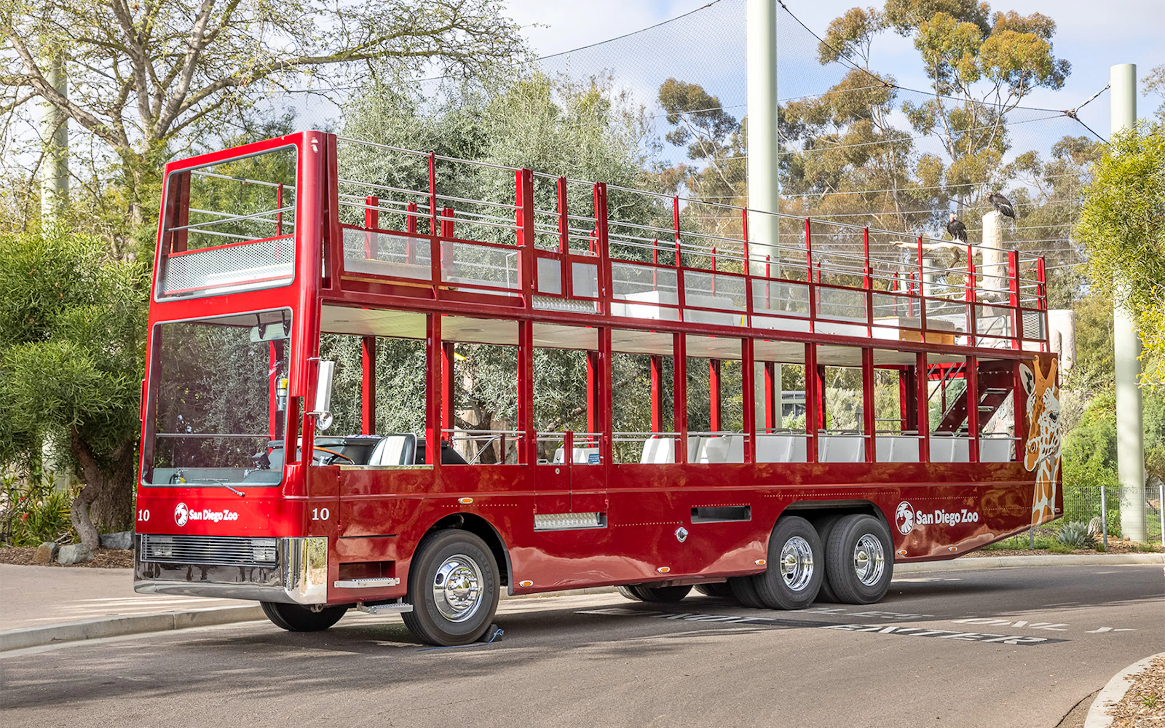 Red double-decker tour bus at San Diego Zoo.