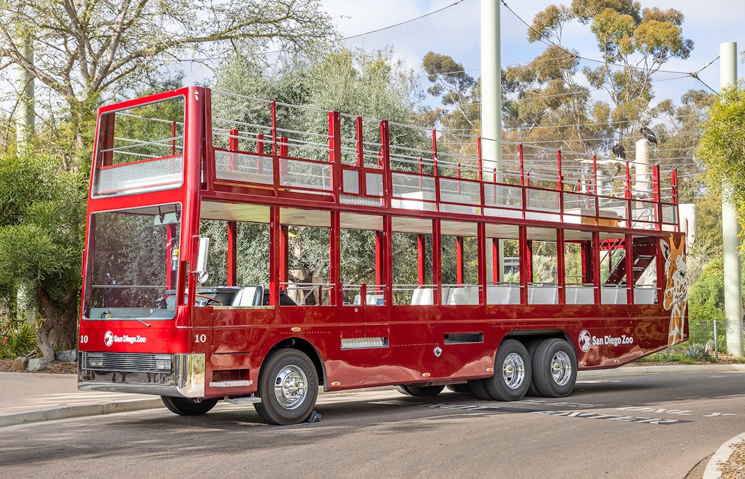Guided bus tour at the San Diego Zoo