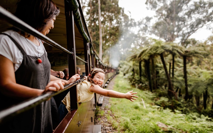 Young girl waves from Puffing Billy steam train window on Melbourne tour.