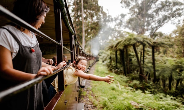 From Melbourne: Puffing Billy Steam Train Half-Day Tour with Transfers