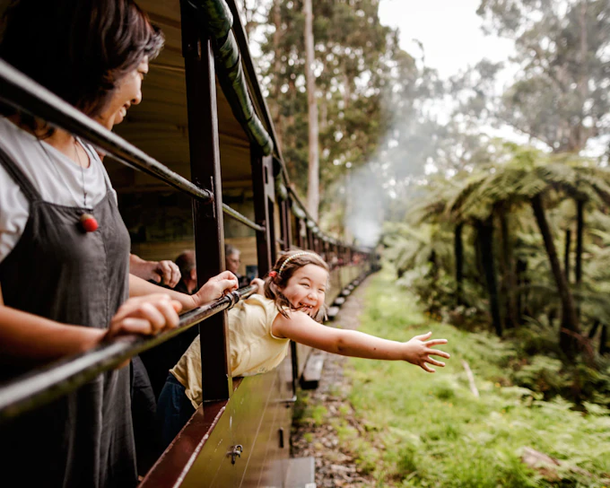 From Melbourne: Puffing Billy Steam Train Half-Day Tour with Transfers