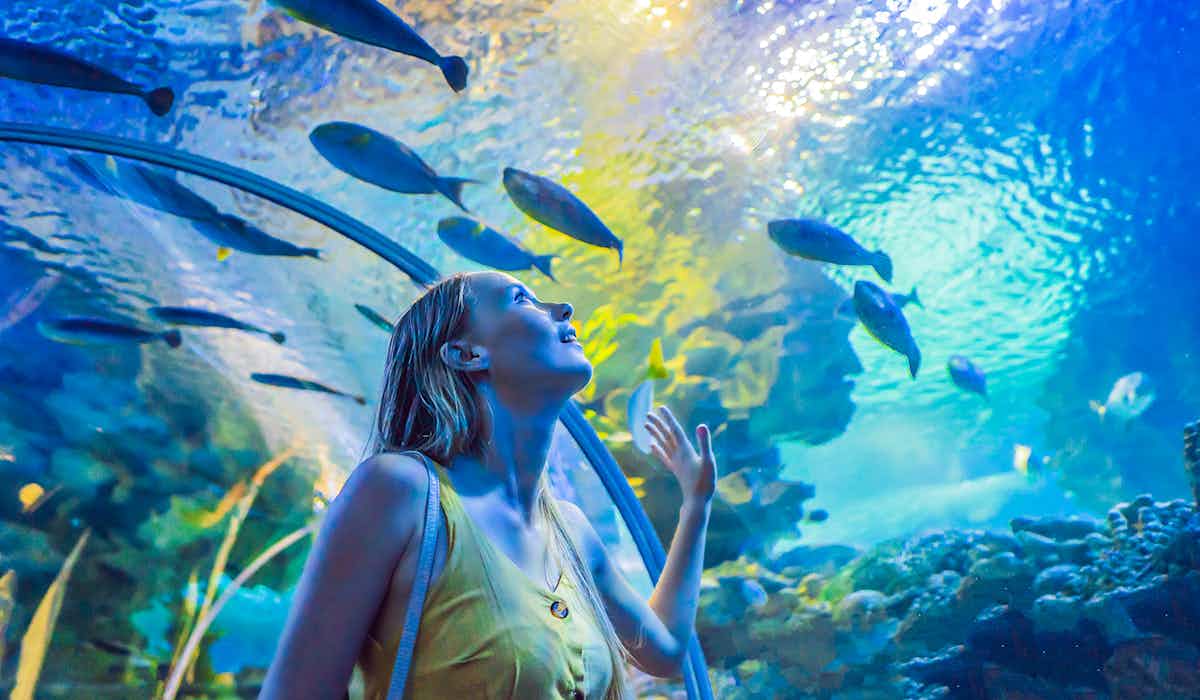 Dubai Butterfly Garden