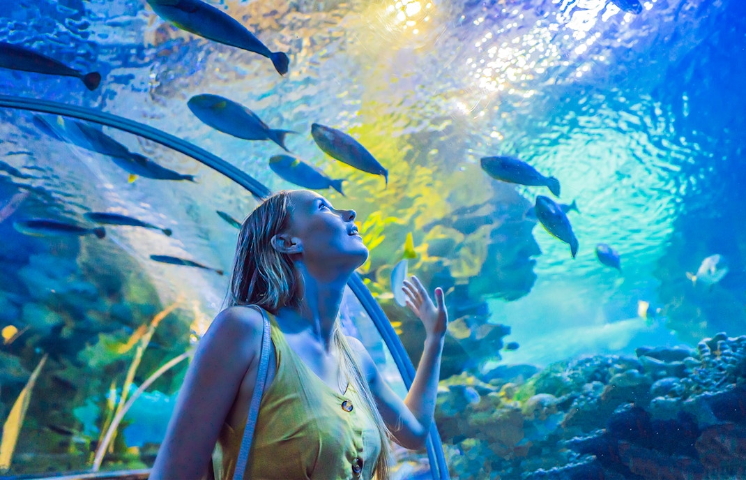Dubai Aquarium Tickets
