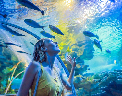 Dubai Aquarium tickets