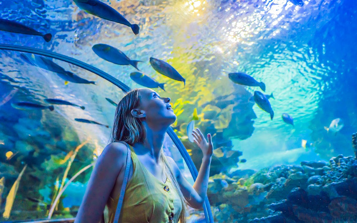 Dubai Aquarium