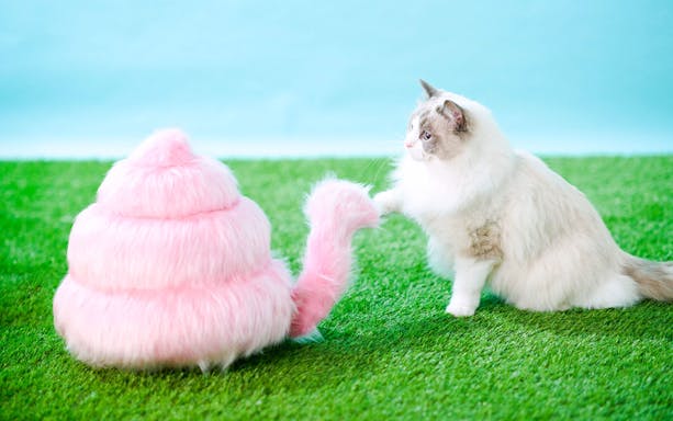 Fluffy cat touches pink poop-shaped toy on green lawn at Unko Museum.