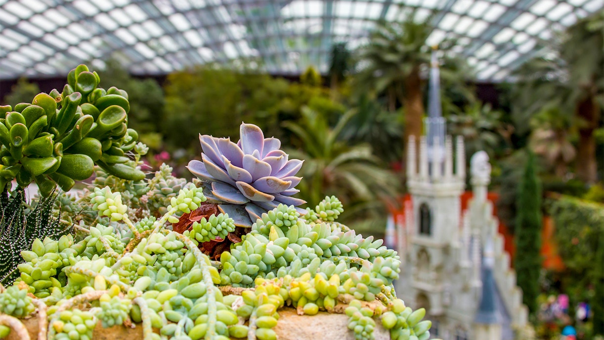 Floral Fantasy Singapore Opening Hours