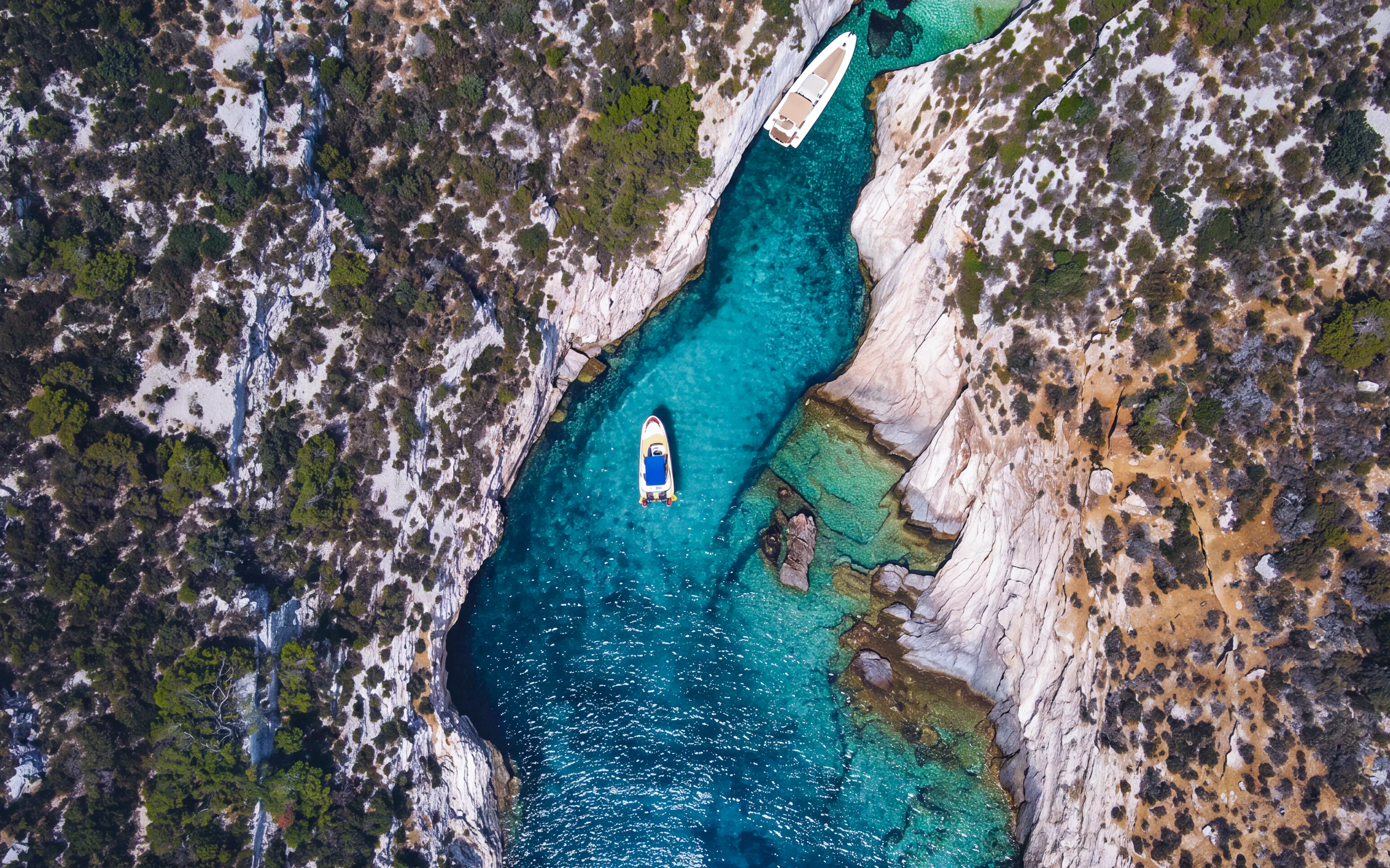 From Fažana: Private Brijuni Islands, Blue Cave, Lagoon and Hidden Bays Cruise with Snorkeling Image 12