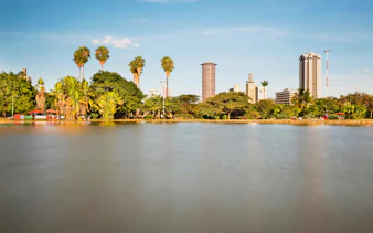 Skyline view from Uhuru Park Nairobi with palm trees and city buildings.