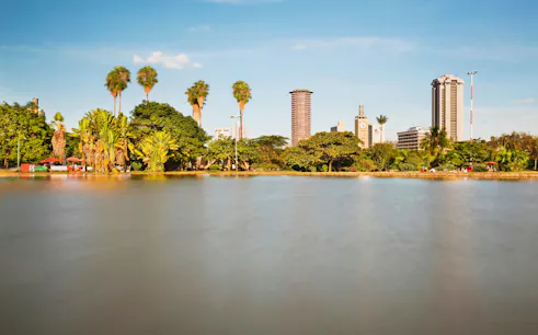 Skyline view from Uhuru Park Nairobi with palm trees and city buildings.