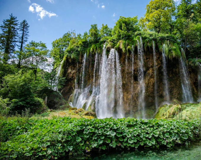 Plitvice Lakes Early Morning Small-Group Guided Tour