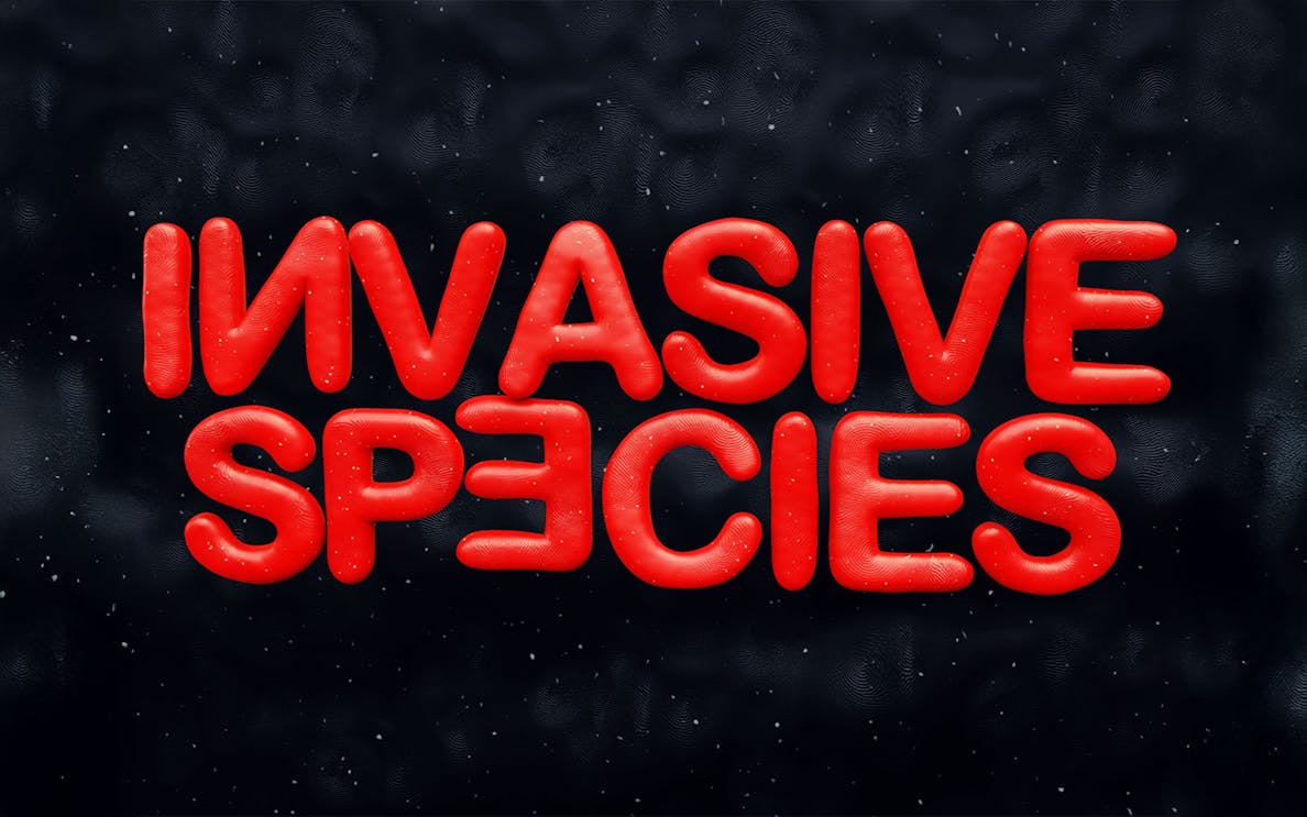 Invasive Species text in bold red on dark background
