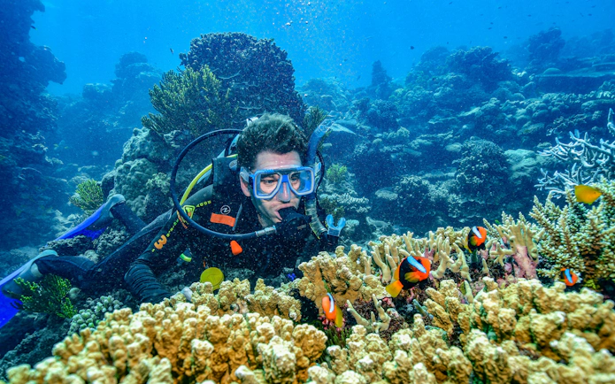 Snorkeler exploring coral reef with clownfish near Cairns, Australia.